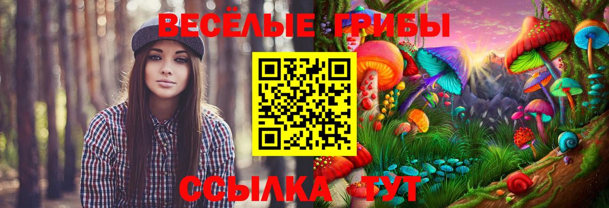 Псилоцибиновые грибы Magic Shrooms Вышний Волочёк